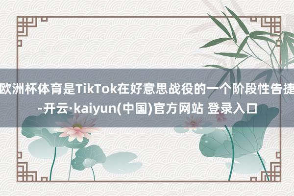 欧洲杯体育是TikTok在好意思战役的一个阶段性告捷-开云·kaiyun(中国)官方网站 登录入口