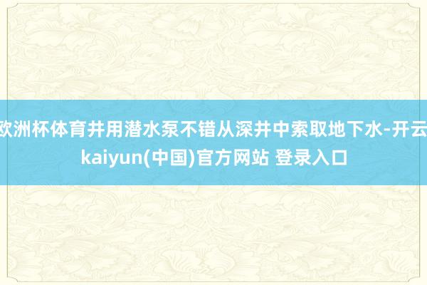 欧洲杯体育井用潜水泵不错从深井中索取地下水-开云·kaiyun(中国)官方网站 登录入口