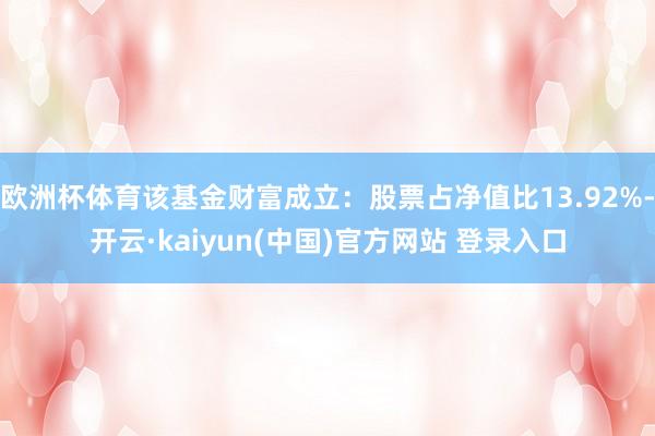 欧洲杯体育该基金财富成立：股票占净值比13.92%-开云·kaiyun(中国)官方网站 登录入口