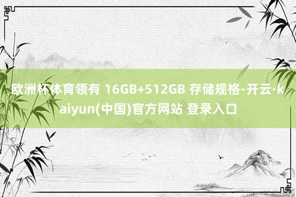 欧洲杯体育领有 16GB+512GB 存储规格-开云·kaiyun(中国)官方网站 登录入口