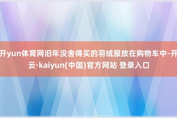 开yun体育网旧年没舍得买的羽绒服放在购物车中-开云·kaiyun(中国)官方网站 登录入口