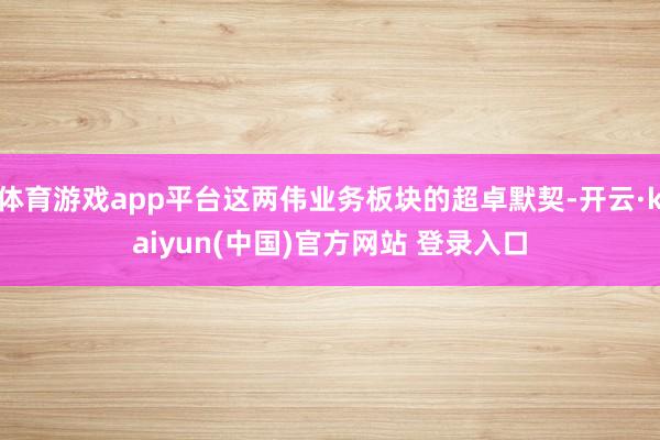 体育游戏app平台这两伟业务板块的超卓默契-开云·kaiyun(中国)官方网站 登录入口
