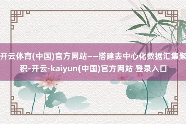 开云体育(中国)官方网站——搭建去中心化数据汇集聚积-开云·kaiyun(中国)官方网站 登录入口