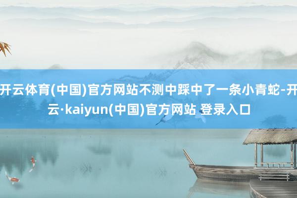 开云体育(中国)官方网站不测中踩中了一条小青蛇-开云·kaiyun(中国)官方网站 登录入口