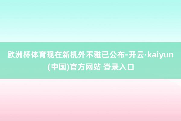 欧洲杯体育现在新机外不雅已公布-开云·kaiyun(中国)官方网站 登录入口