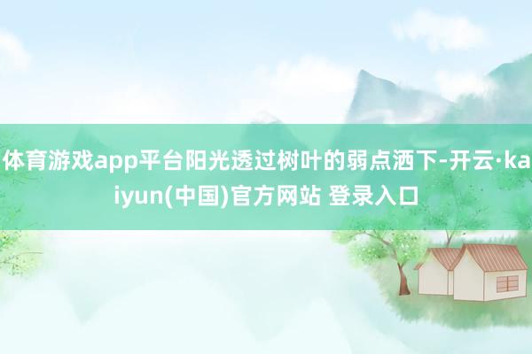 体育游戏app平台阳光透过树叶的弱点洒下-开云·kaiyun(中国)官方网站 登录入口