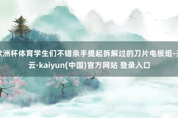 欧洲杯体育学生们不错亲手提起拆解过的刀片电板组-开云·kaiyun(中国)官方网站 登录入口