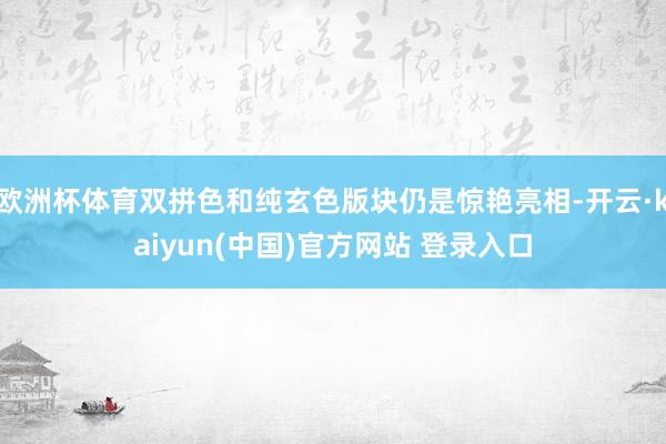 欧洲杯体育双拼色和纯玄色版块仍是惊艳亮相-开云·kaiyun(中国)官方网站 登录入口