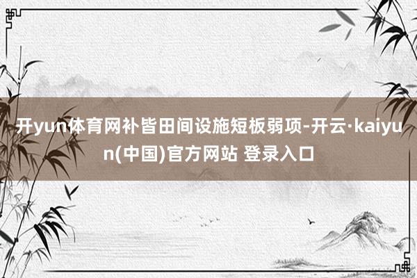 开yun体育网补皆田间设施短板弱项-开云·kaiyun(中国)官方网站 登录入口