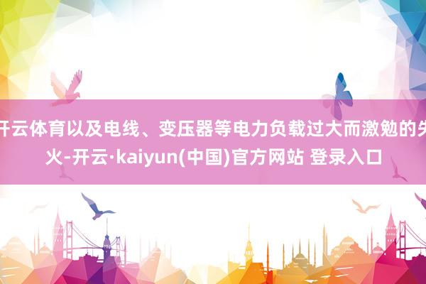 开云体育以及电线、变压器等电力负载过大而激勉的失火-开云·kaiyun(中国)官方网站 登录入口