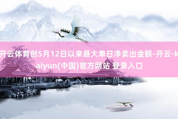 开云体育创5月12日以来最大单日净卖出金额-开云·kaiyun(中国)官方网站 登录入口